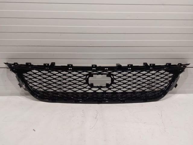 Front Lower Grille